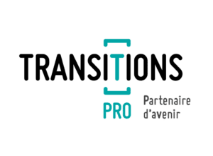 Transition-pro-300x221-min